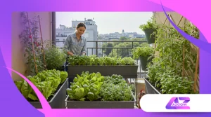 Urban Gardening für Anfänger: So startest du deinen Stadtgarten