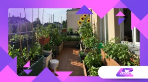 Permakultur im Balkon-Garten: Geht das wirklich?