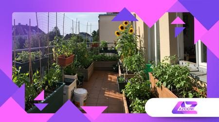 Permakultur im Balkon-Garten funktioniert