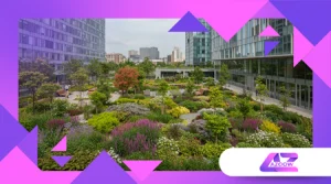 Wie du einen essbaren Garten in der Stadt planst