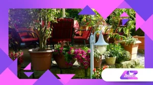 Wie du mit deinem Garten CO₂ speichern kannst