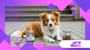 Der Zero Waste Lifestyle mit Haustieren: So geht’s nachhaltig