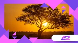 Ökotourismus in Afrika: Natur, Kultur und Nachhaltigkeit vereint