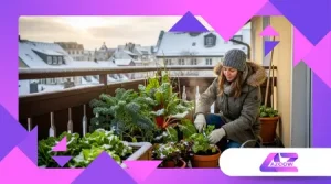 Urban Gardening Winter: Ernten trotz Kälte & wenig Licht