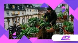 Urban Gardening Winterernte trotz wenig Sonnenlicht